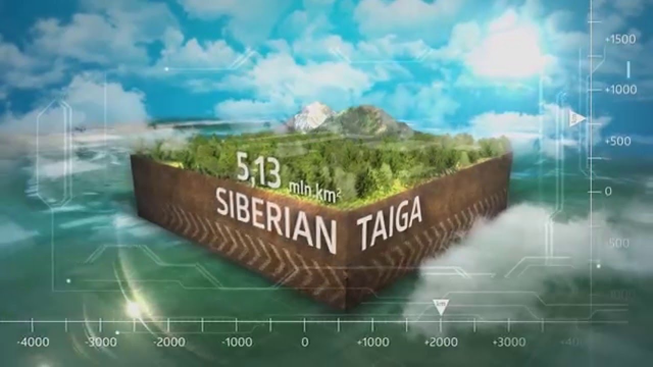 Video giới thiệu tập đoàn Siberian Health International của Nga